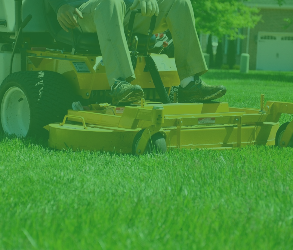Lawn care professionals at work